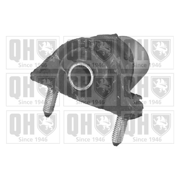 1 silentbloc de suspension Quinton Hazell EMS8216