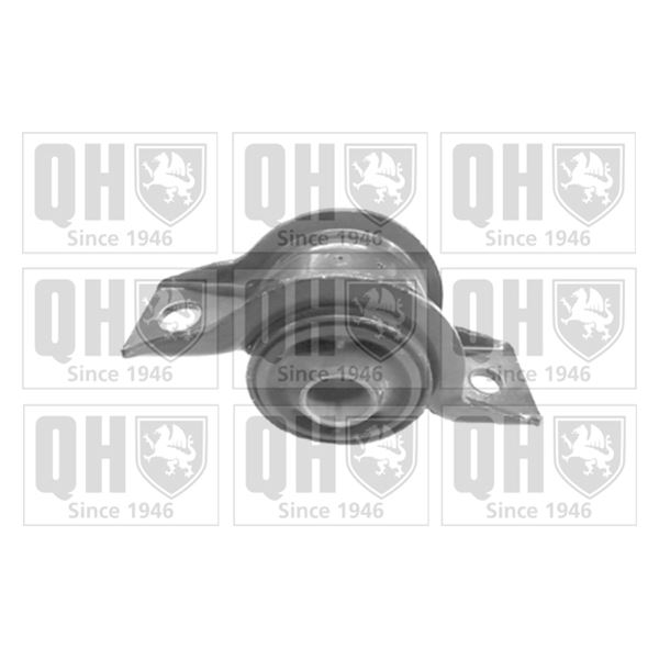 1 silentbloc de suspension Quinton Hazell EMS8253
