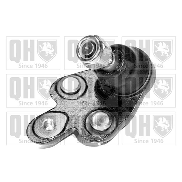 1 rotule de suspension Quinton Hazell QSJ1131S