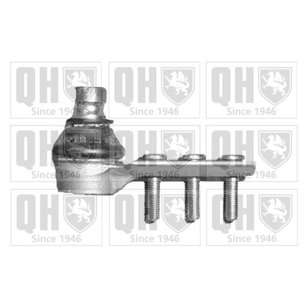 1 rotule de suspension Quinton Hazell QSJ1353S