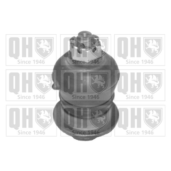 1 rotule de suspension Quinton Hazell QSJ1794S