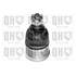 1 rotule de suspension Quinton Hazell QSJ9198S