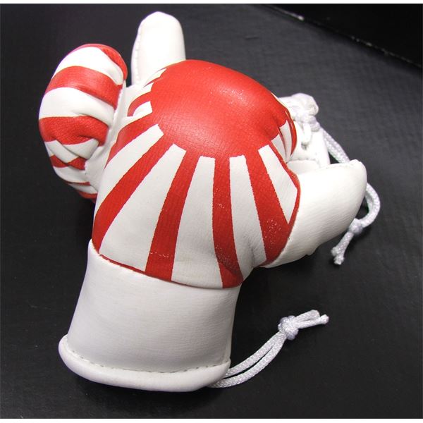 Décoration rétroviseur 2 mini gants de boxe Japon