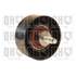 1 galet de distribution Quinton Hazell QTT1164