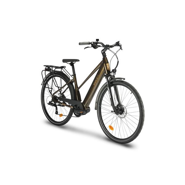 Vélo de ville électrique mixte Feu Vert Gravit-E 95 bronze
