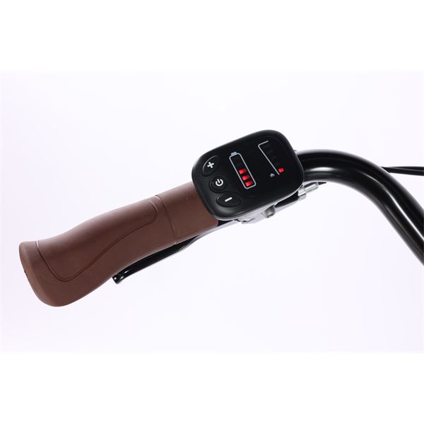 Vélo de ville électrique mixte Feu Vert E-Roll 54 Vert Sauge